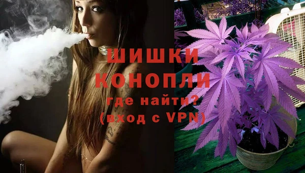 дживик Арсеньев
