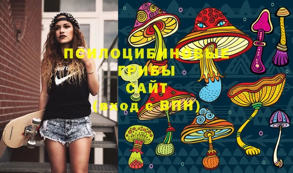 прущий лед Армянск